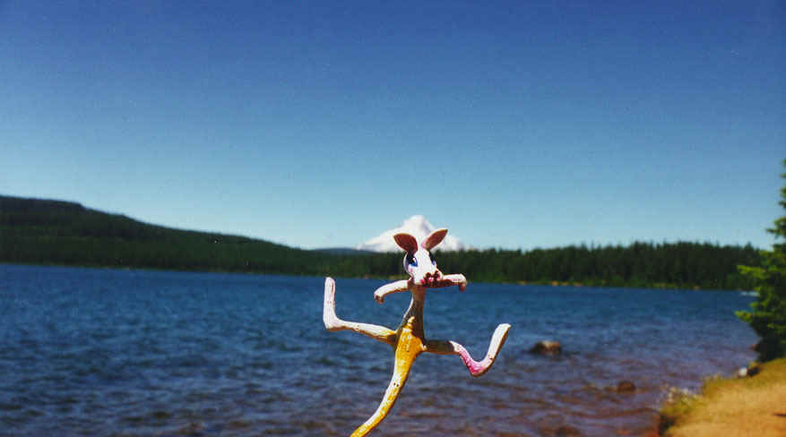 kanga1.jpg (70003 bytes)